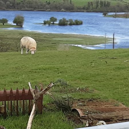 Hawthorn Lodge Belturbet Dış mekan fotoğraf