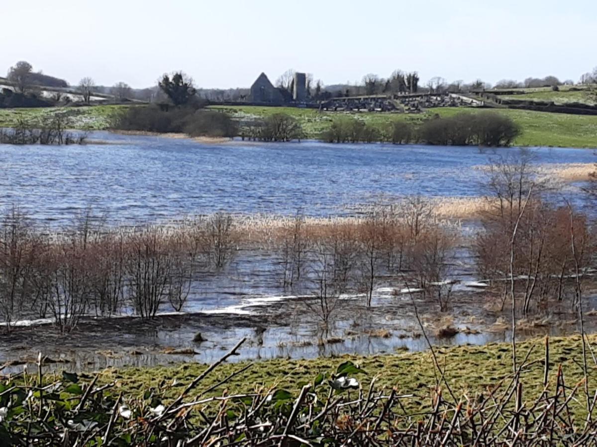 Hawthorn Lodge Belturbet Dış mekan fotoğraf