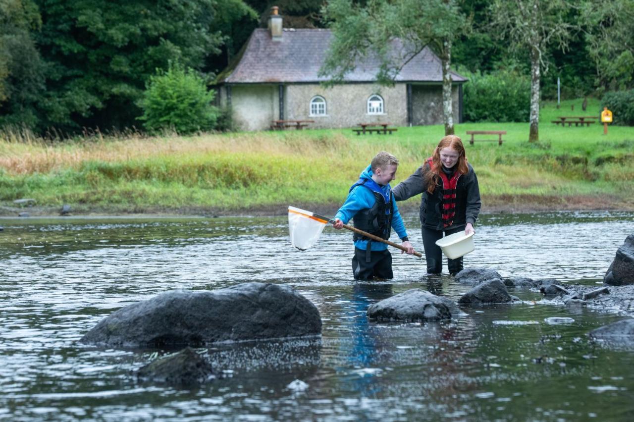 Hawthorn Lodge Belturbet Dış mekan fotoğraf