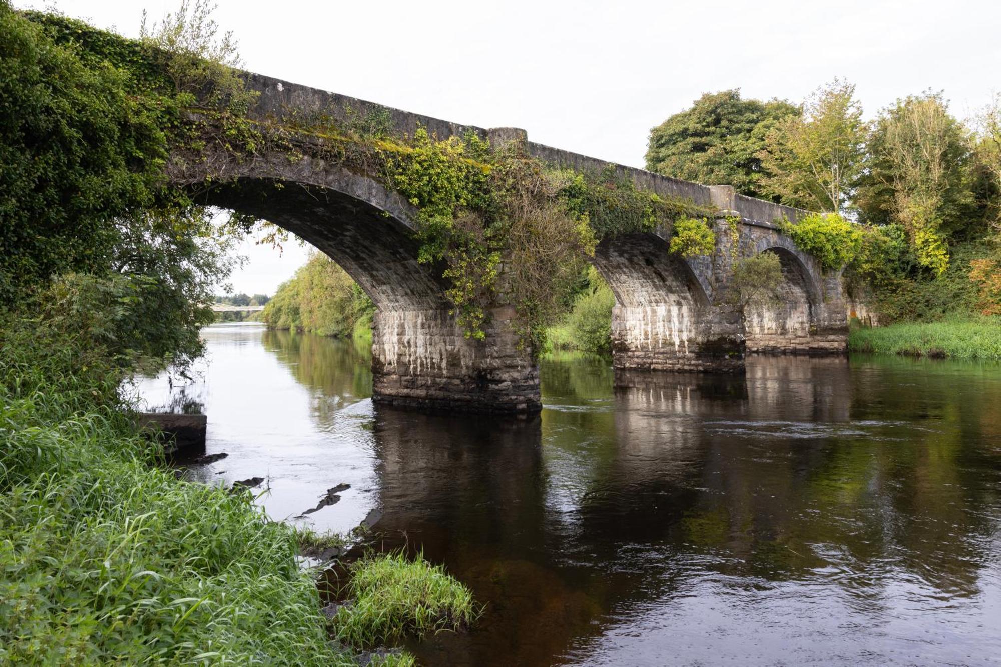 Hawthorn Lodge Belturbet Dış mekan fotoğraf