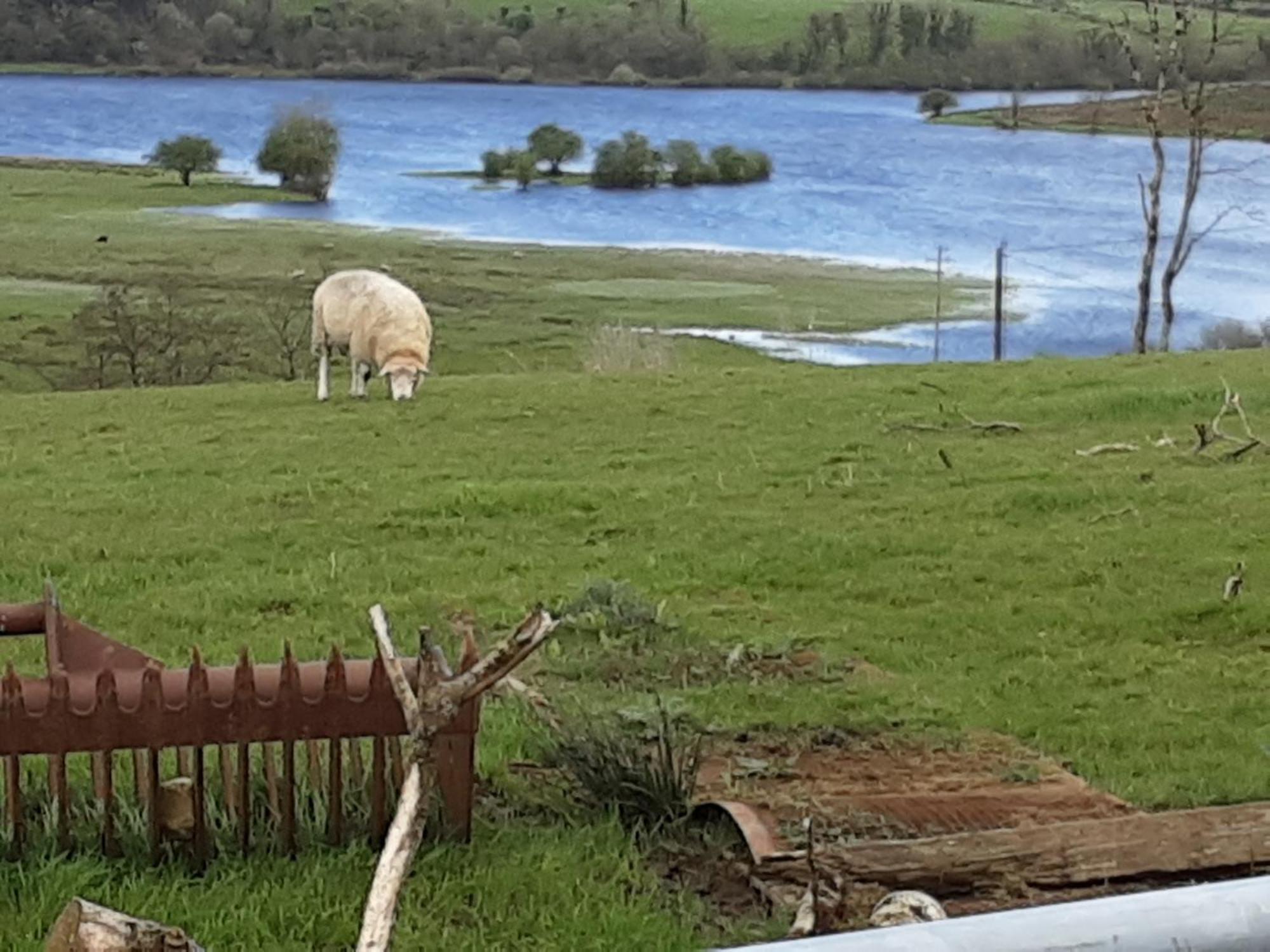 Hawthorn Lodge Belturbet Dış mekan fotoğraf