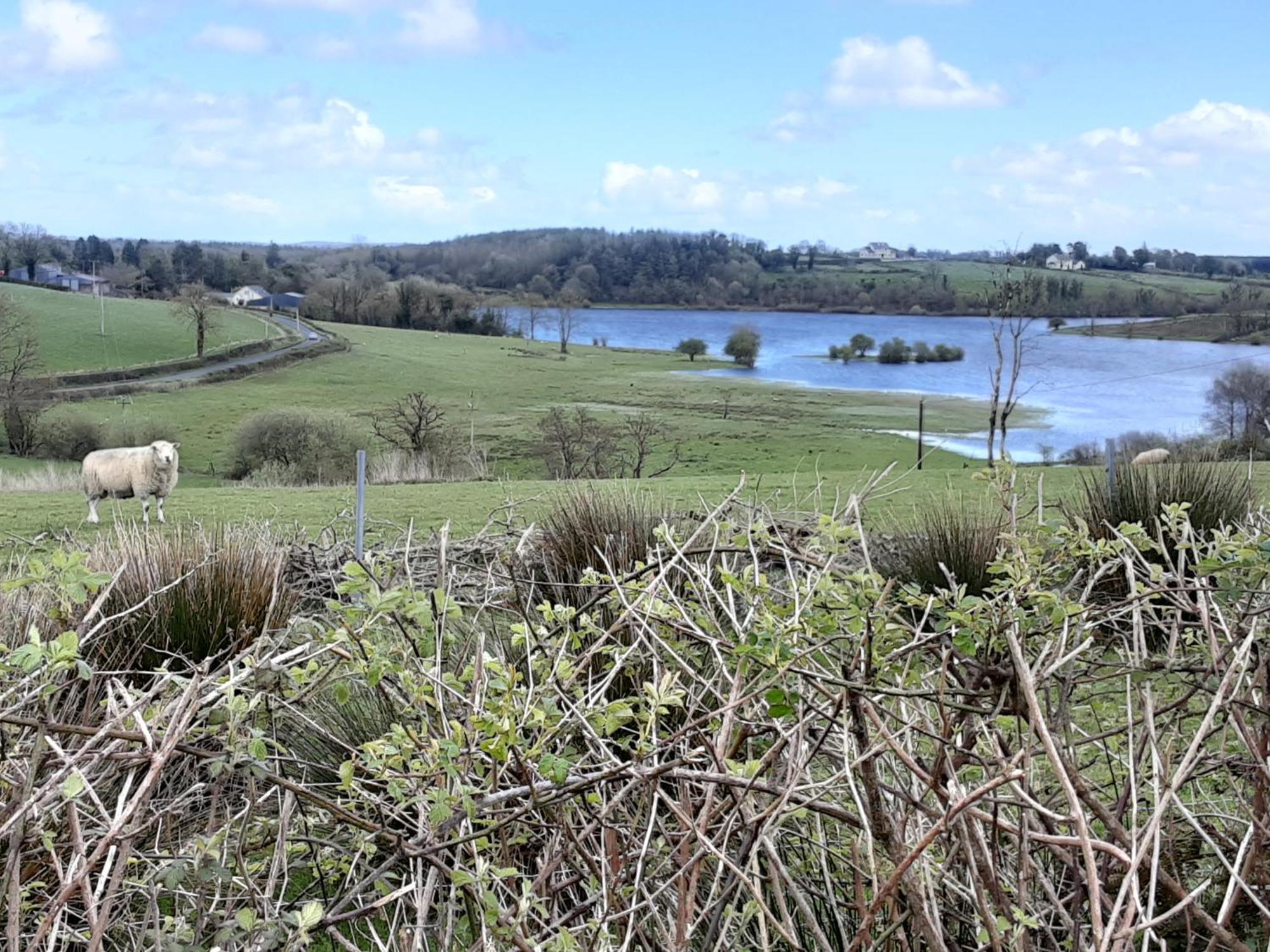 Hawthorn Lodge Belturbet Dış mekan fotoğraf